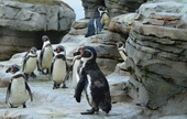 Zoo am Meer, Foto: Karin Kaden